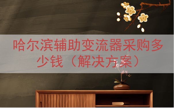 哈尔滨辅助变流器采购多少钱（解决方案）