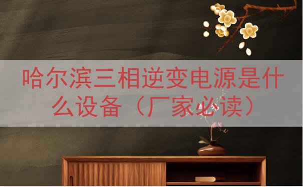 哈尔滨三相逆变电源是什么设备（厂家必读）